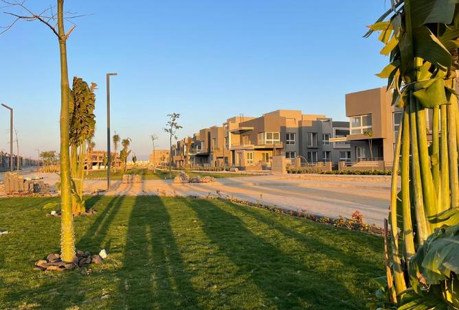 98010342 - صورة العقار 3