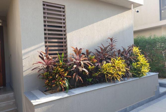 55498104 - صورة العقار 2