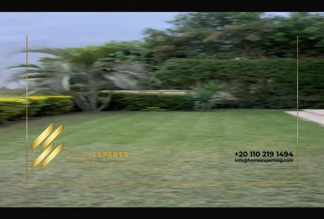 65925616 - Property Image 3