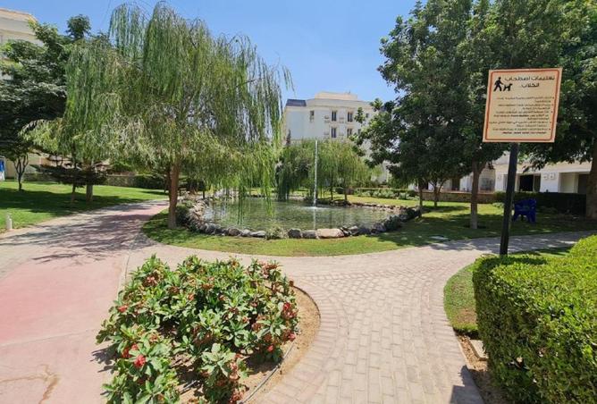 83675432 - صورة العقار 3