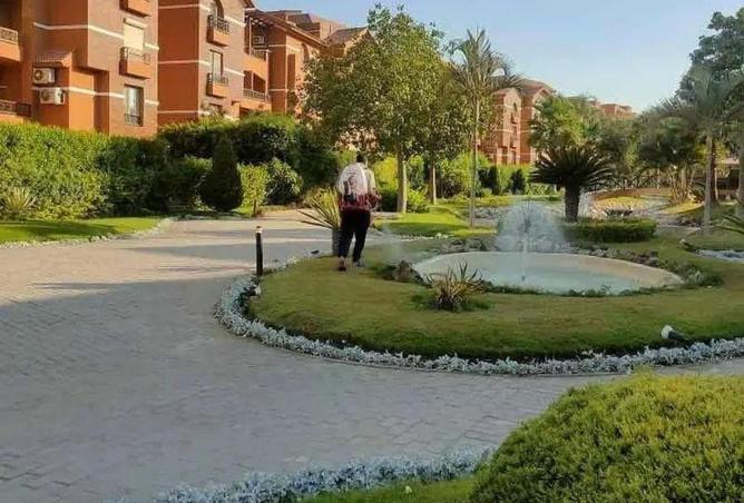 59494492 - صورة العقار 2