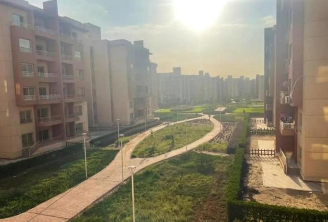 8585196 - Property Image 3