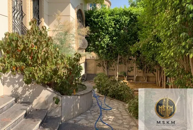 111579568 - صورة العقار 3