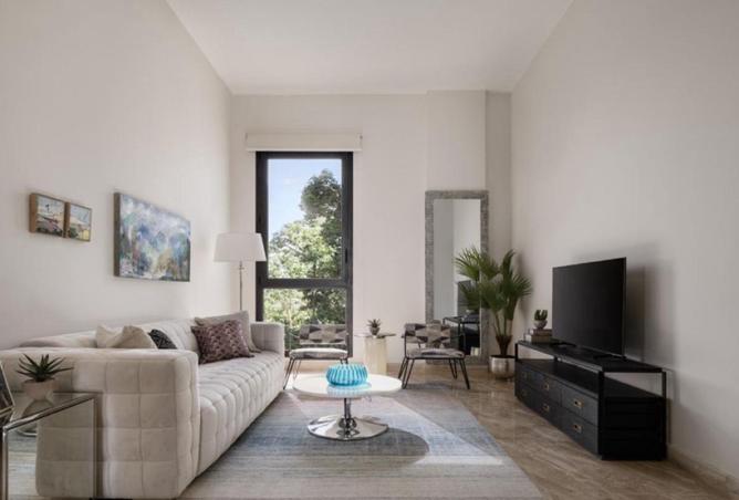 66175272 - صورة العقار 3