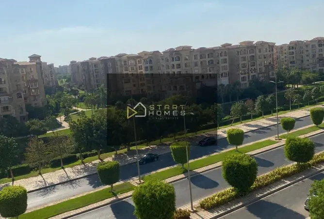 116758513 - Property Image 2