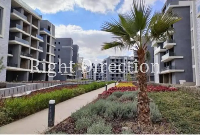 114620468 - Property Image 3