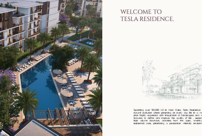 59246266 - Property Image 3