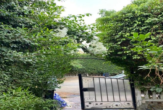 8626203 - صورة العقار 2