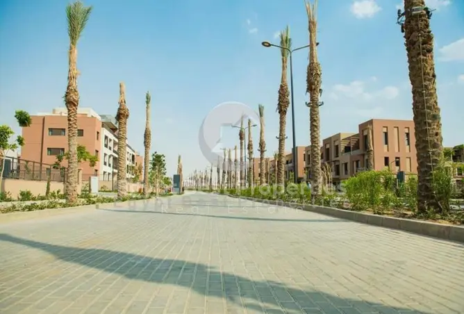 113541143 - Property Image 3