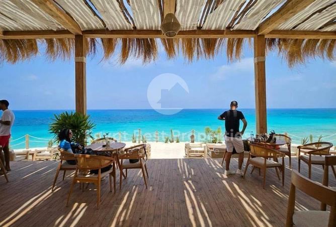 56503994 - صورة العقار 2