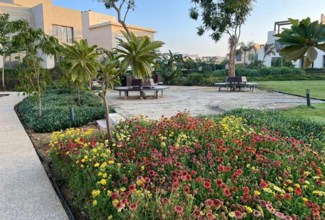 65153605 - الصورة الرئيسية للعقار