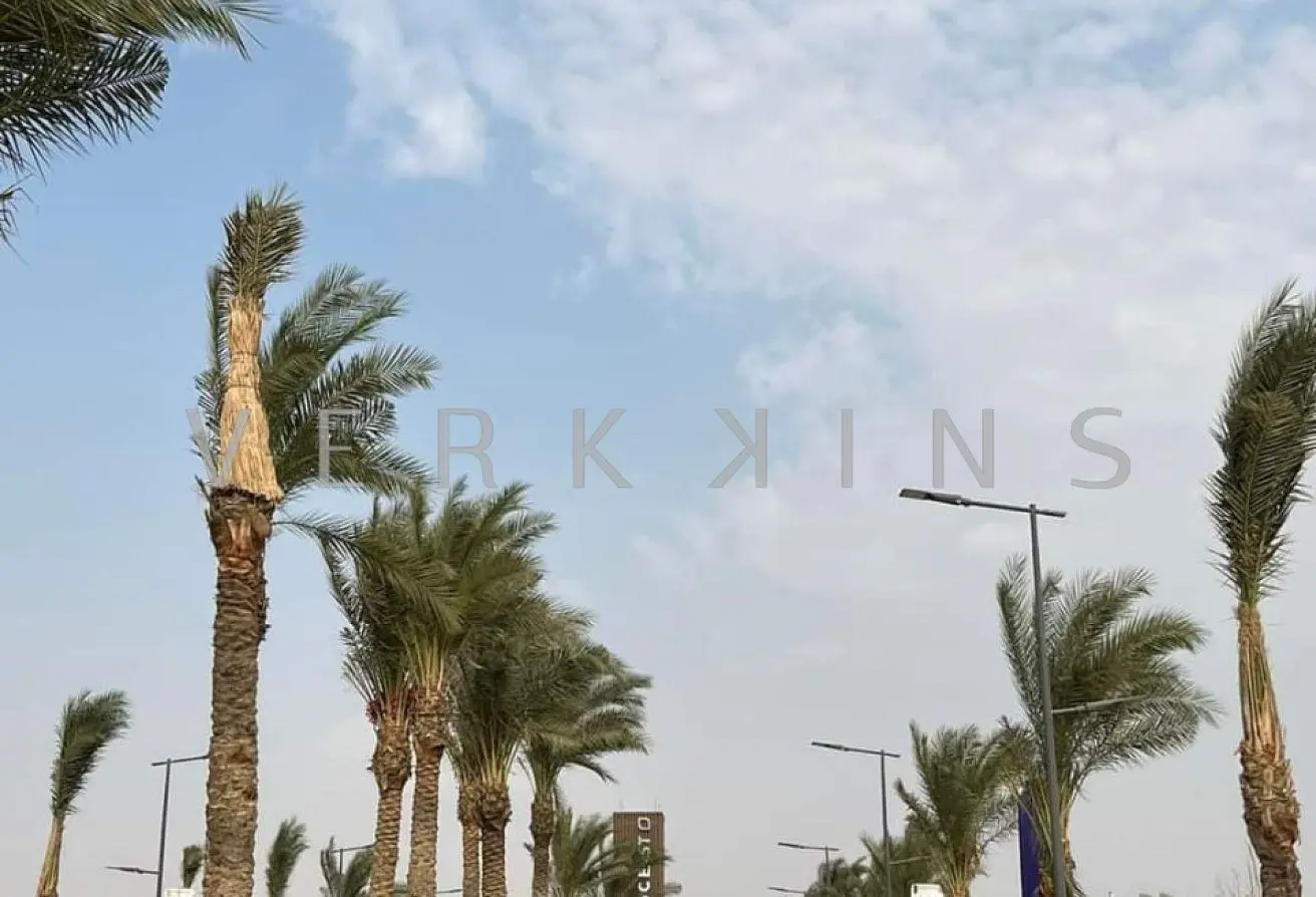 117023289 - الصورة الرئيسية للعقار