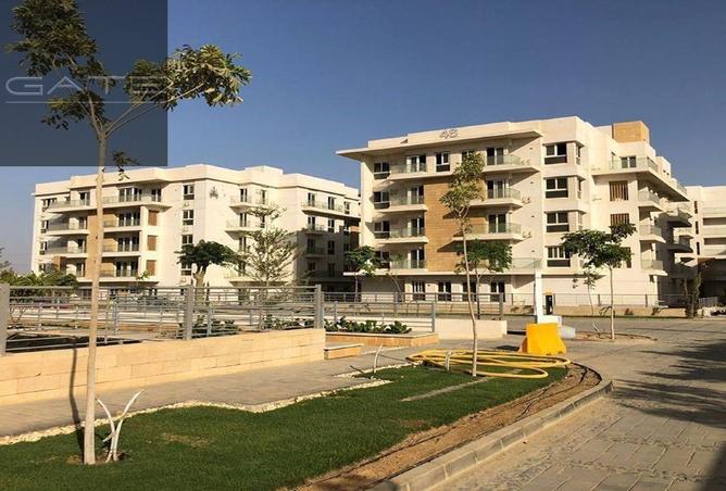 81316153 - صورة العقار 3