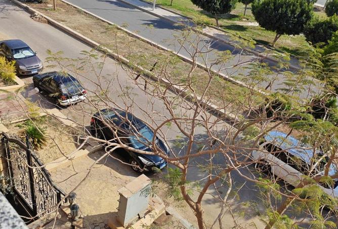 65666895 - Property Image 2