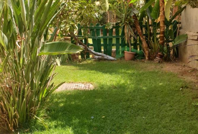 64650730 - صورة العقار 2