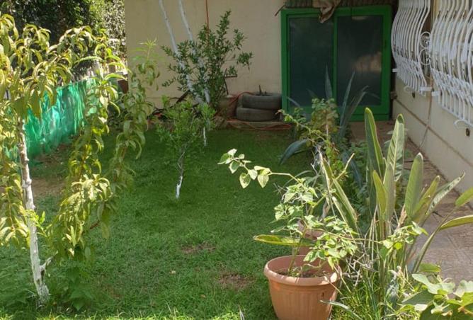 64650730 - الصورة الرئيسية للعقار