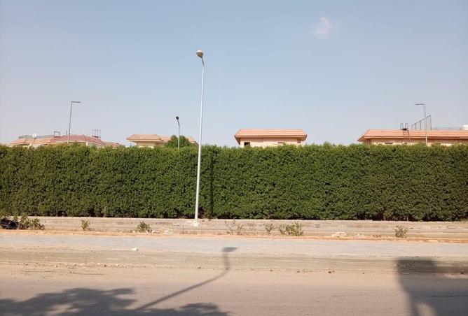 77049756 - صورة العقار 3