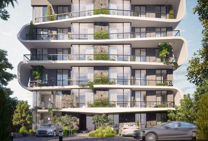 8427074 - Property Image 2