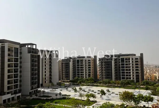 113254326 - Property Image 2