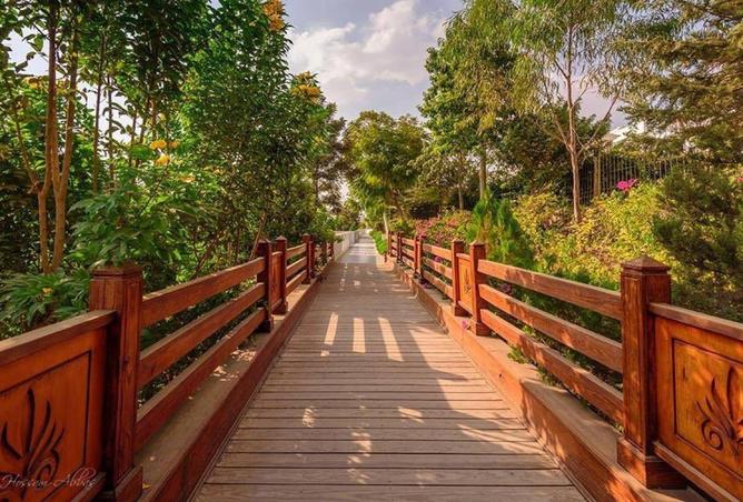 54502136 - صورة العقار 2