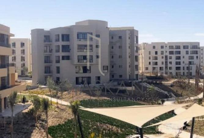 66700269 - صورة العقار 3