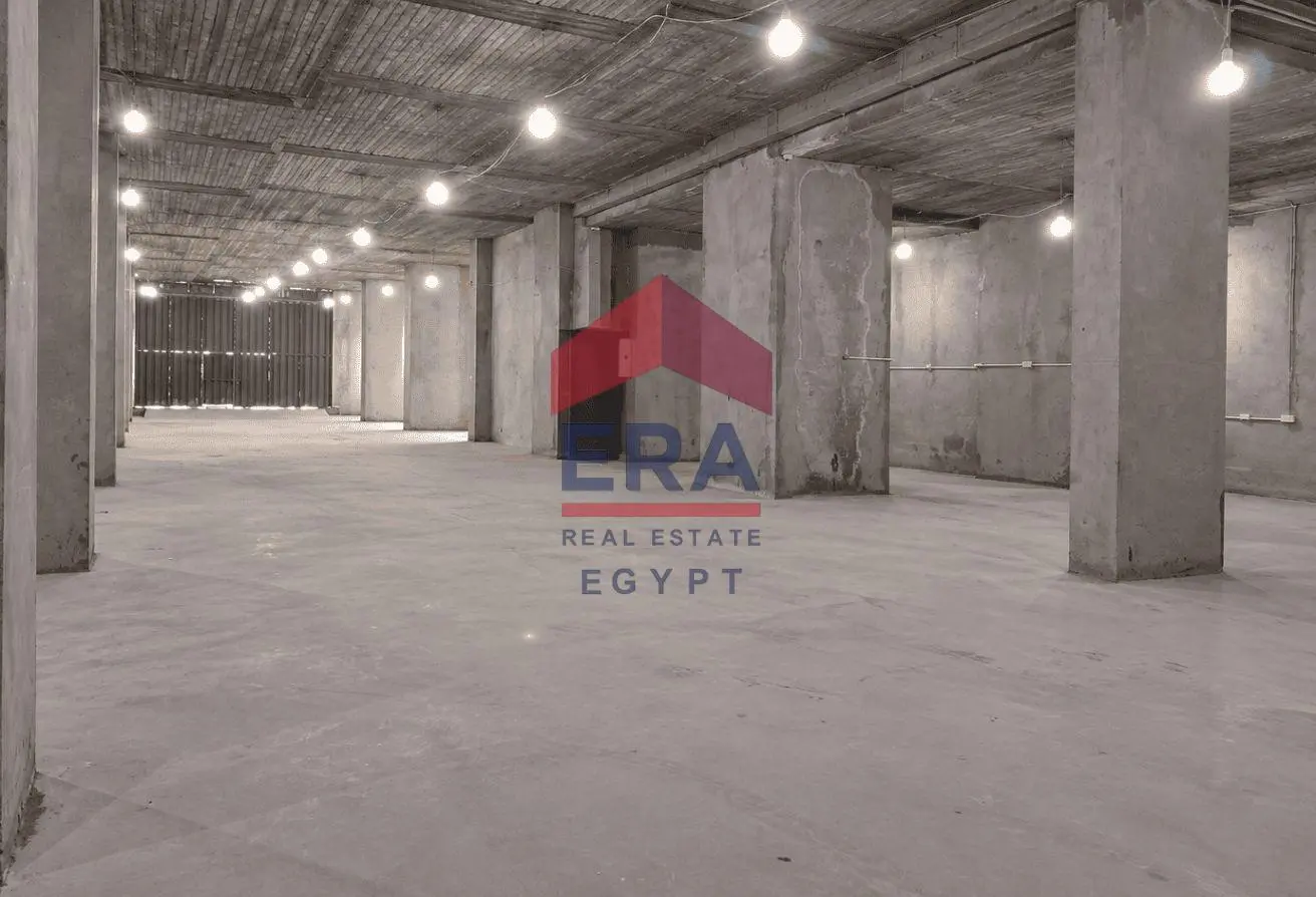 116487164 - الصورة الرئيسية للعقار