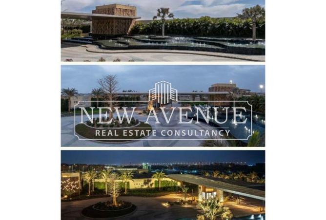 64383882 - صورة العقار 3