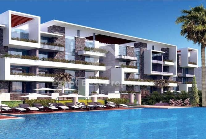74581009 - Property Image 2