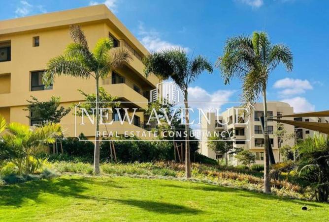 66427210 - الصورة الرئيسية للعقار