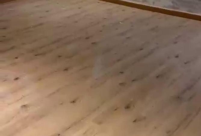 8537917 - Property Image 3