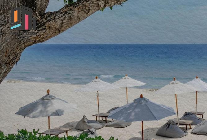 57746120 - Property Image 2