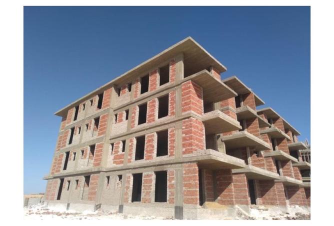 67999513 - صورة العقار 3