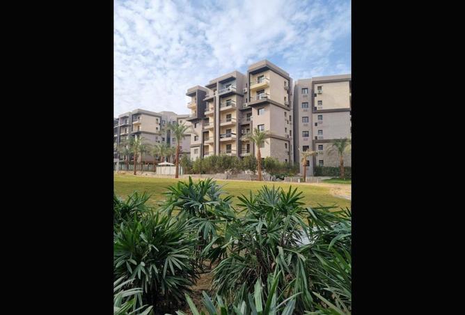 67738917 - صورة العقار 3