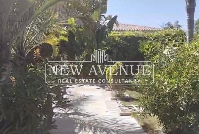 68527023 - صورة العقار 2