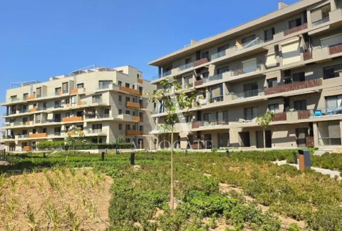 111883413 - Property Image 2