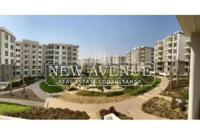 8582200 - Property Image 3