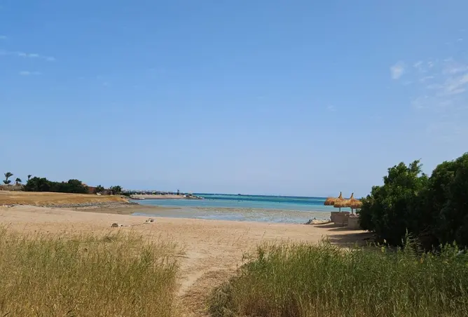 116485876 - صورة العقار 3