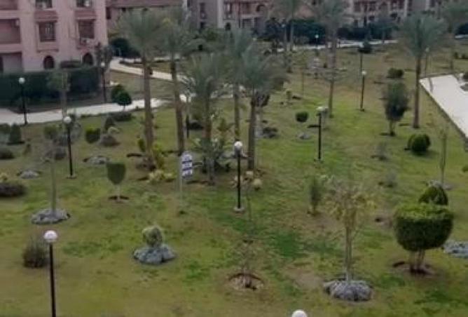 8691152 - صورة العقار 2