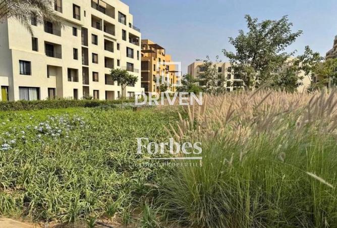 55263247 - Property Image 2