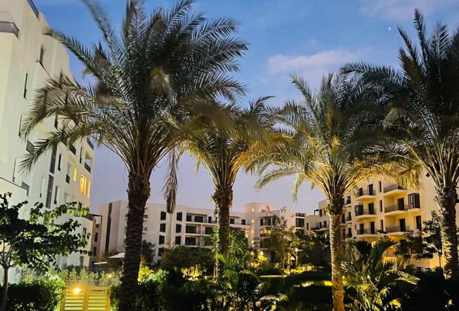 53477658 - صورة العقار 2