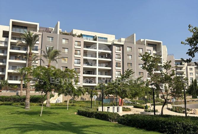 58241317 - صورة العقار 3