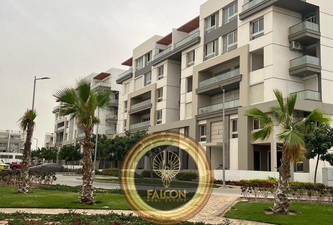 8596197 - Property Image 3