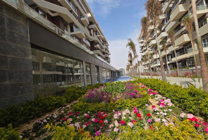 66175045 - Property Main Image