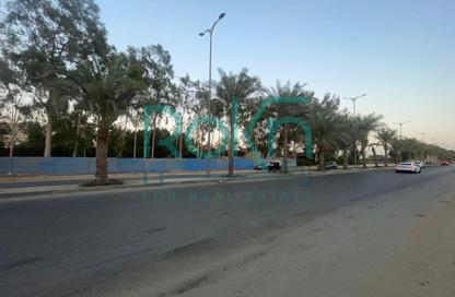 محل - استوديو - 1 للايجار في قطاع النخيل - الحي المتميز - مدينة 6 أكتوبر - الجيزة محل - استوديو - 1 للايجار في قطاع النخيل - الحي المتميز - مدينة 6 أكتوبر - الجيزة