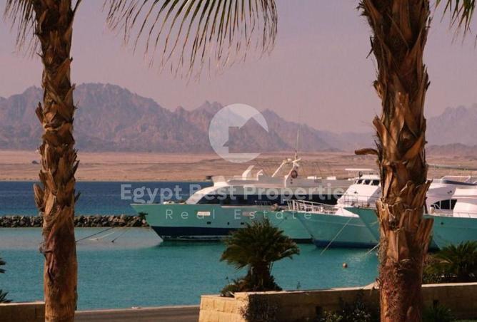 99118782 - صورة العقار 3