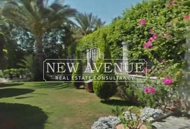 57487601 - Property Image 3