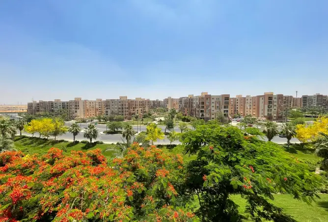 118813268 - صورة العقار 3