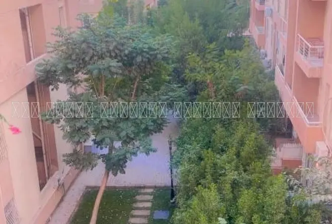 110198453 - صورة العقار 2