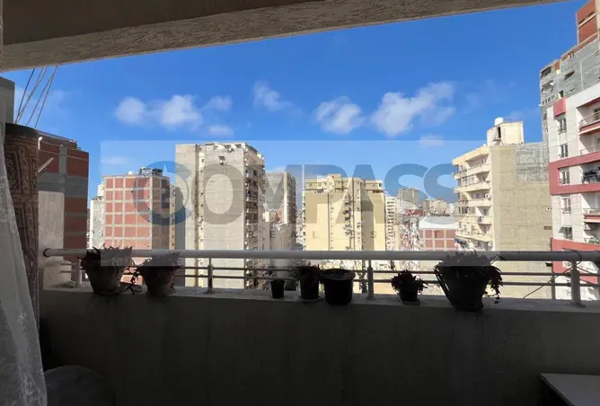 107689859 - Property Image 2