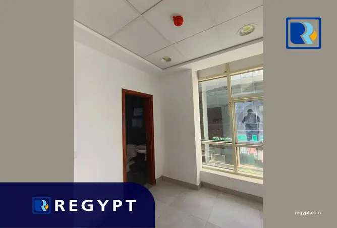 117263930 - Property Image 2